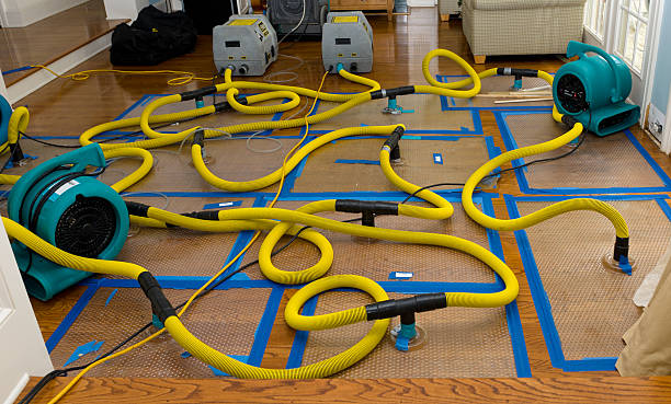 Professional Water Damage Restoration technician working in Hazlehurst, MS